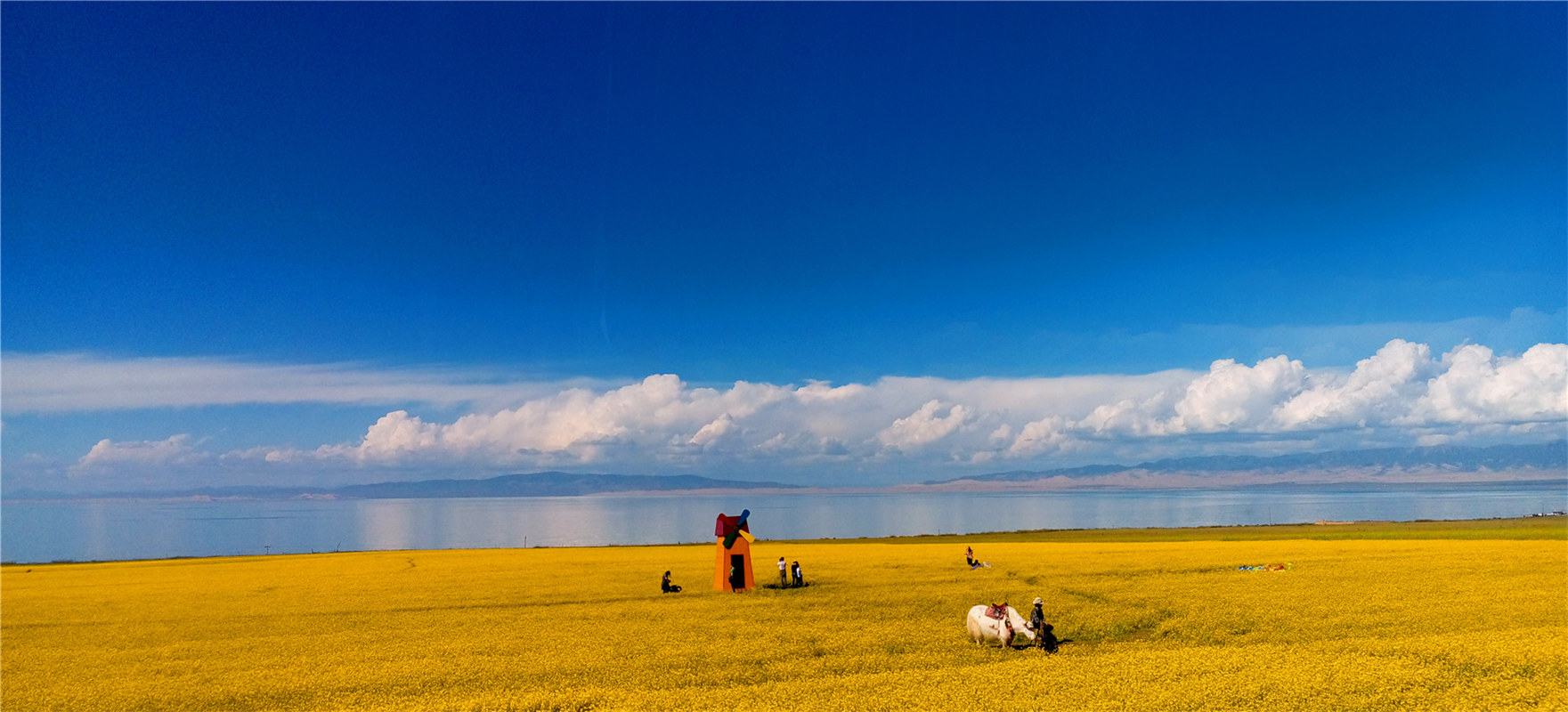 《大美青?！穭㈤?/>
                                    <div   id=